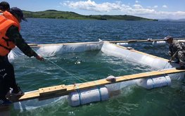 Для развития аквакультуры в Приморье появился специальный проектFishnews
