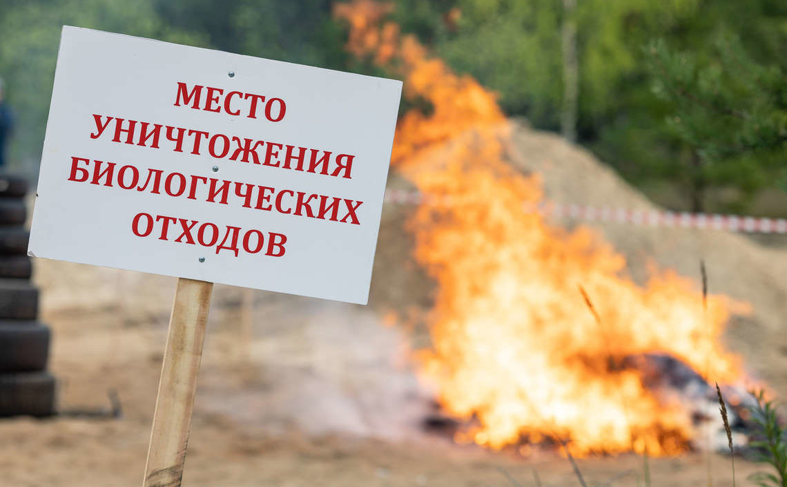 Минсельхоз России утвердил новый список биологических отходов