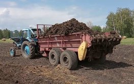 Аграрии РФ несут убытки, игнорируя нормы хранения навоза &mdash; Россельхознадзор