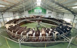 Группа компаний &laquo;ЭкоНива&raquo; приступила к реконструкции животноводческого комплекса &laquo;Детчино&raquo;