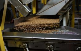 В России снижается зависимость аквакультуры от США и Франции