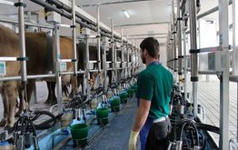 ФАС проанализирует состояние конкуренции на рынке сырого молока