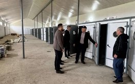 В Дагестане ожидается открытие крупного цеха инкубации куриных яиц
