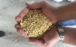 Китай планирует сокращать использование соевого шрота в животноводстве