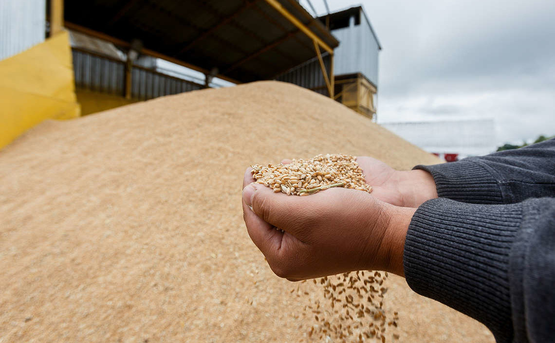 В Минсельхозе РФ прогнозируют рост производства сельхозпродукции в стране в этом году на 4,4%