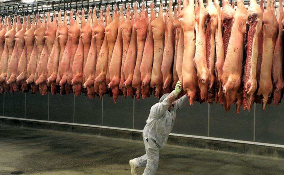 Экспорт свинины впервые превысил вывоз мяса птицы