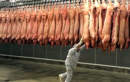 Экспорт свинины впервые превысил вывоз мяса птицы