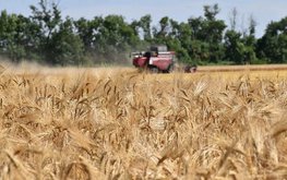 Краснодарский край завершил уборку зерновых