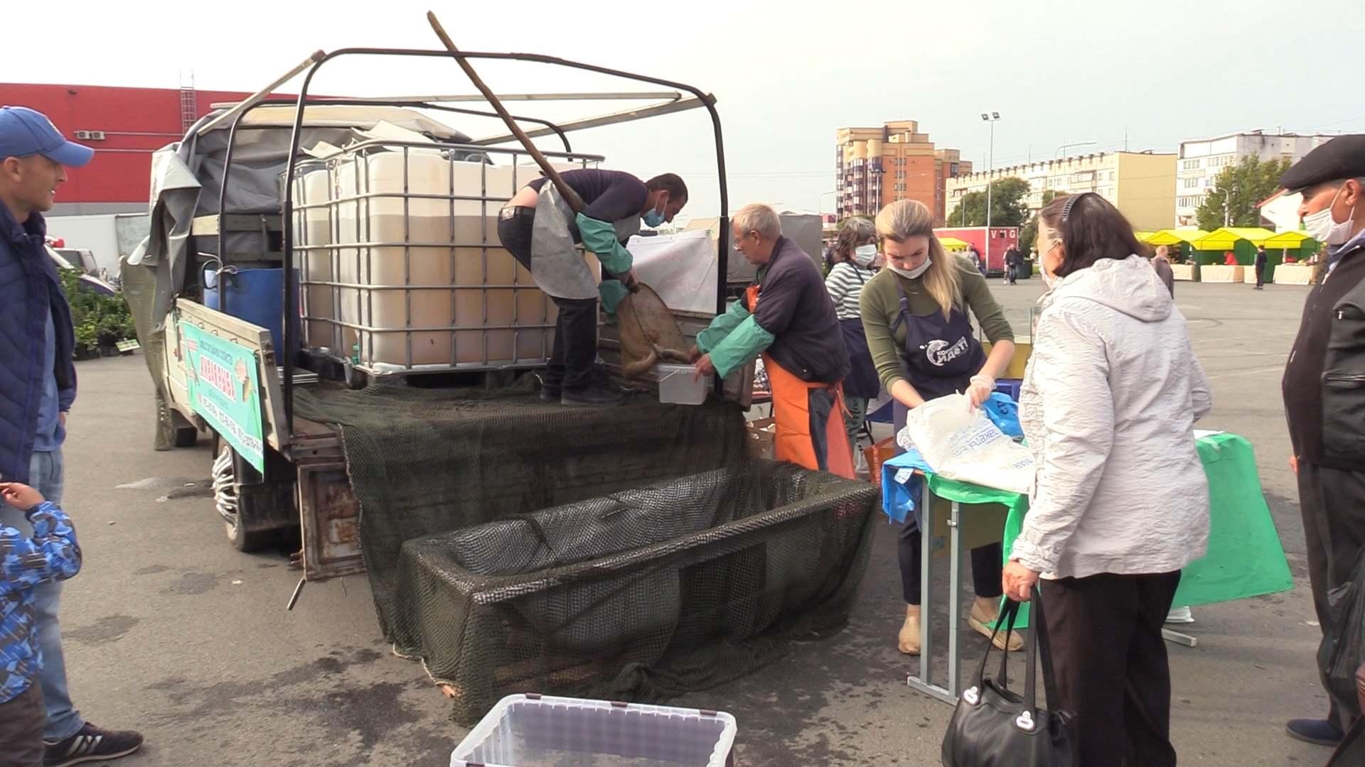Первая выращенная на кормах «Агро-Матик» рыба поступила в продажу в Киришском районе Ленобласти / Агро-Матик #2