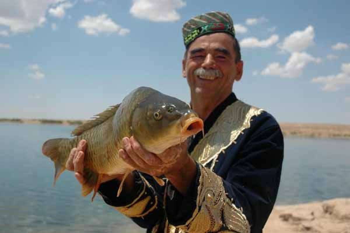 Какая рыба водится в узбекистане фото