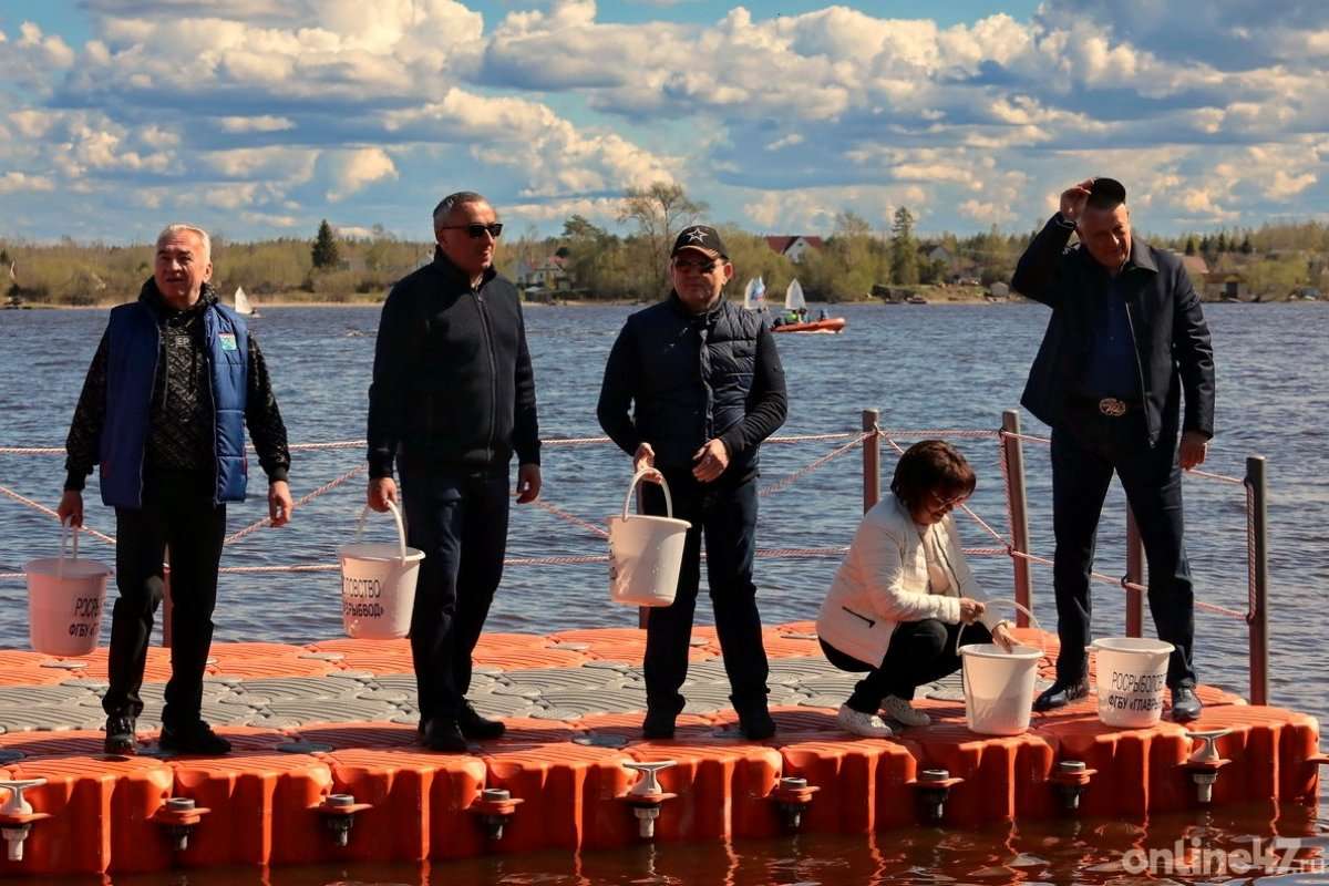 В Новой Ладоге на берегу реки Волхов прошел традиционный фестиваль Корюшка идет 