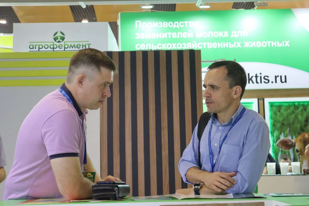 итоги выставки 