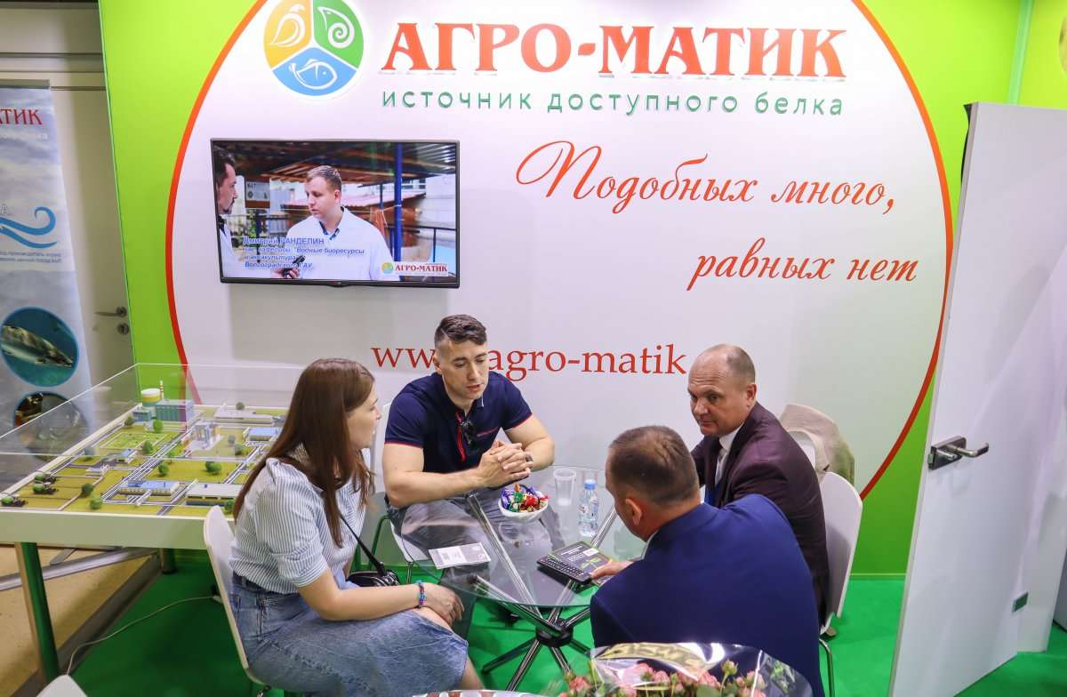 итоги выставки 