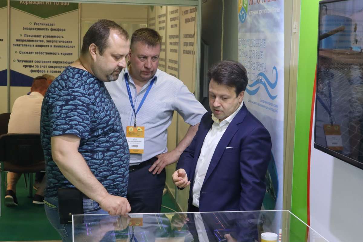 итоги выставки 