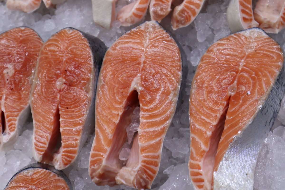 Seafood Expo Russia и Chefs team запустят серию мероприятий «Рыба есть!»