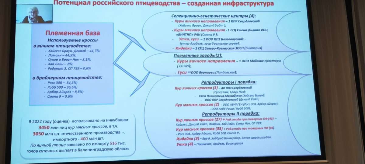 «Агро-Матик» принимает участие в форуме птицеводов и свиноводов