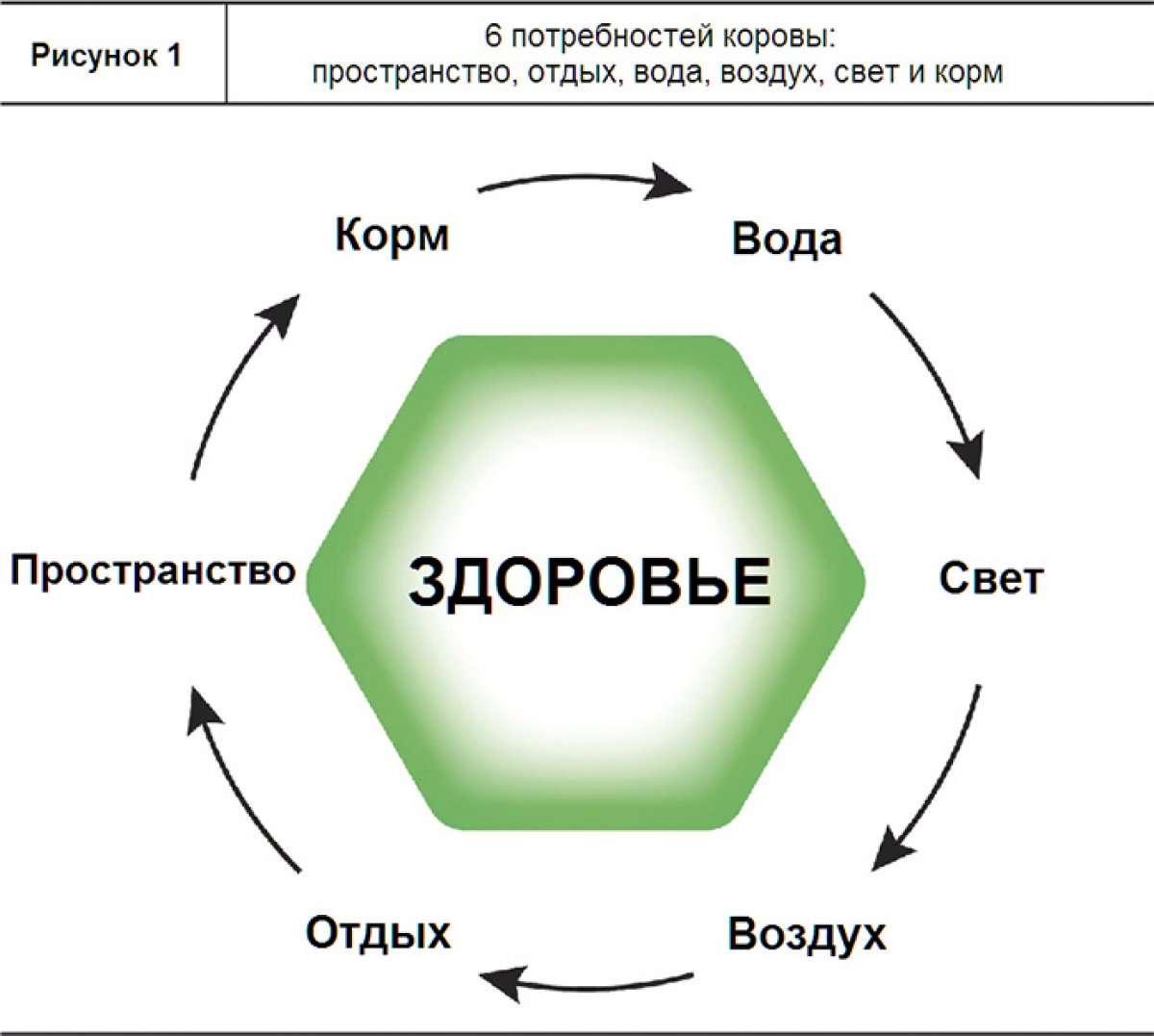 Исследование: Что представляют собой 6 потребностей коров