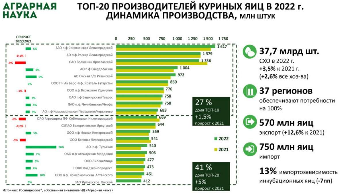 Крупнейшее куриное яйцо