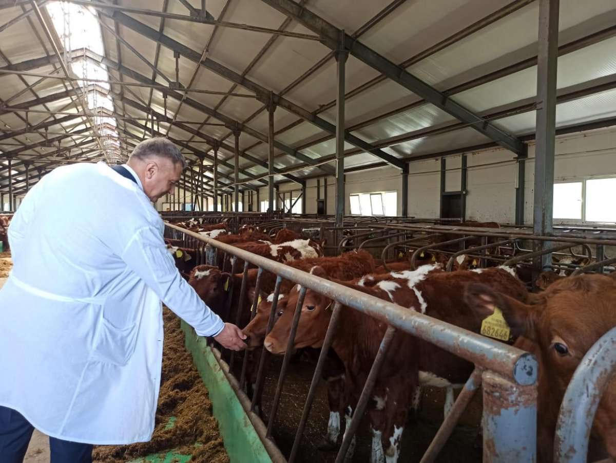 Продукцию «Агро-Матик» представили заместителю министра сельского хозяйства