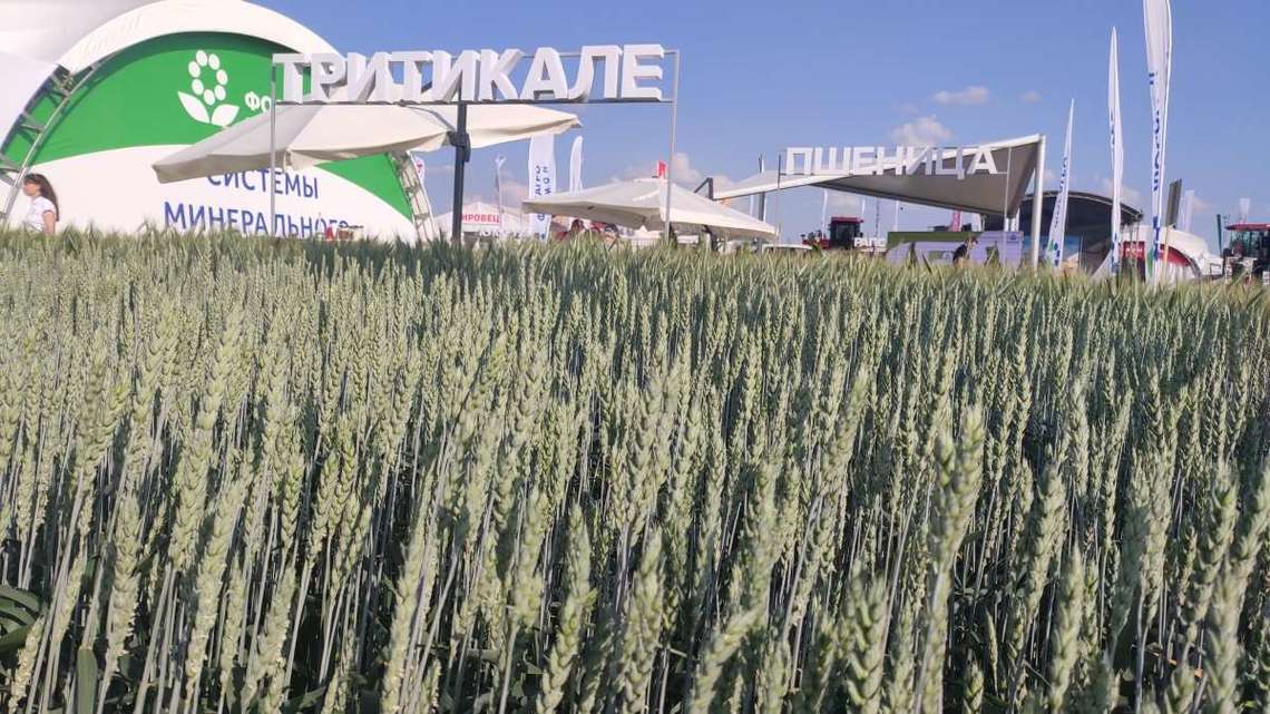 «Агро-Матик» на выставке «Всероссийский день поля-2023»