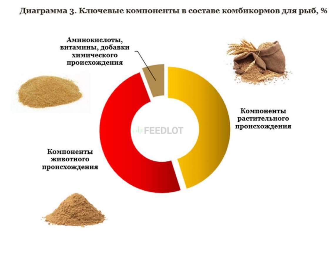 Выпуск кормов для рыб за 4 года вырос на 60%